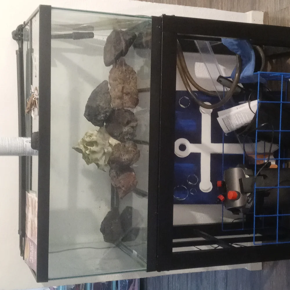 Fish tank 40 gal.with stand